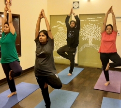 Sattva Center for Authentic Yoga learning
